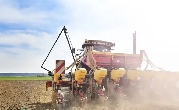 Саджалка - сівалка, посів ріпаку