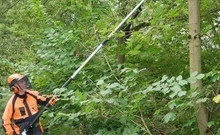 Спил деревьев и мешающих веток Высоторезом,омоложение, распил на дрова