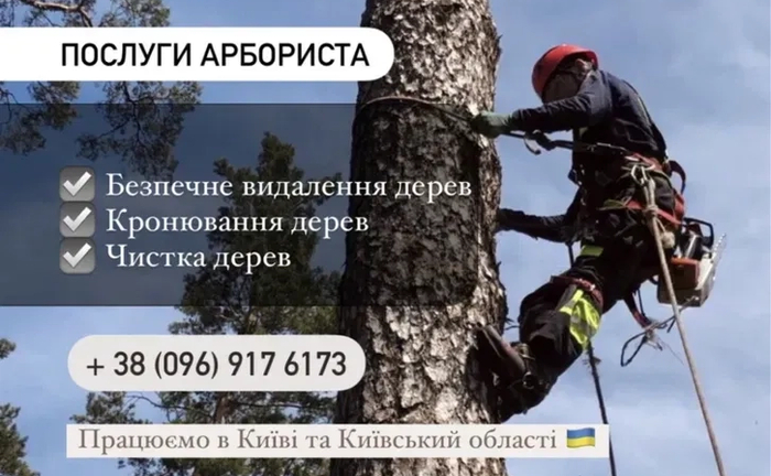 Безпечне спилювання, видалення, кронування, чистка дерев, ділянки