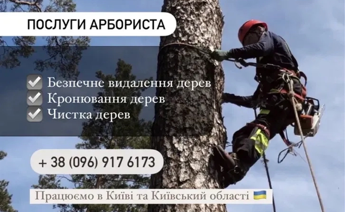 Безпечне спилювання, видалення, кронування, чистка дерев, ділянки Безпечне спилювання, видалення, кронування, чистка дерев, ділянки