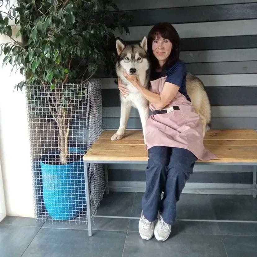 Стрижка (груминг) собак и кошек Новые Дома