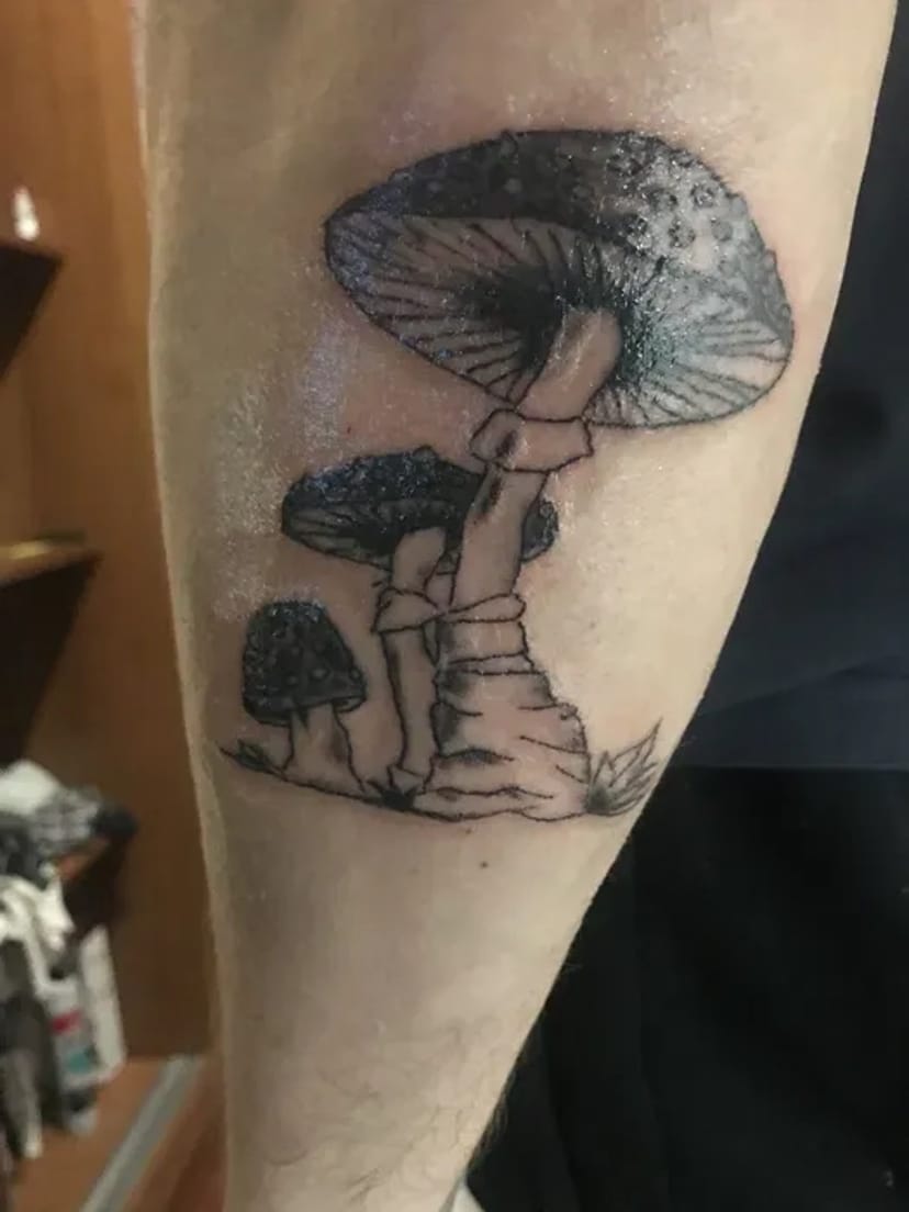 Тату Київ: корекція та перекриття старих татуювань.