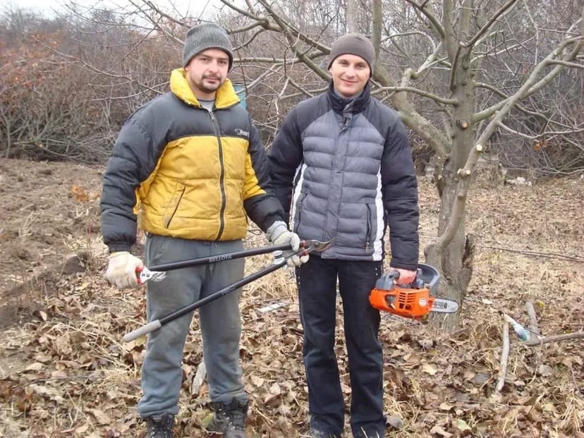 Обрізка фруктових дерев, формування крони обрізати сад