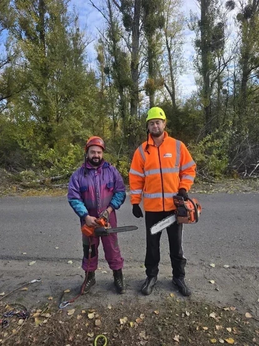 Обрізка фруктових дерев, формування крони обрізати сад