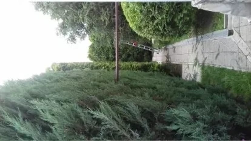 Спилювання Дерев Будь-якої Складності | Послуги Арбористів