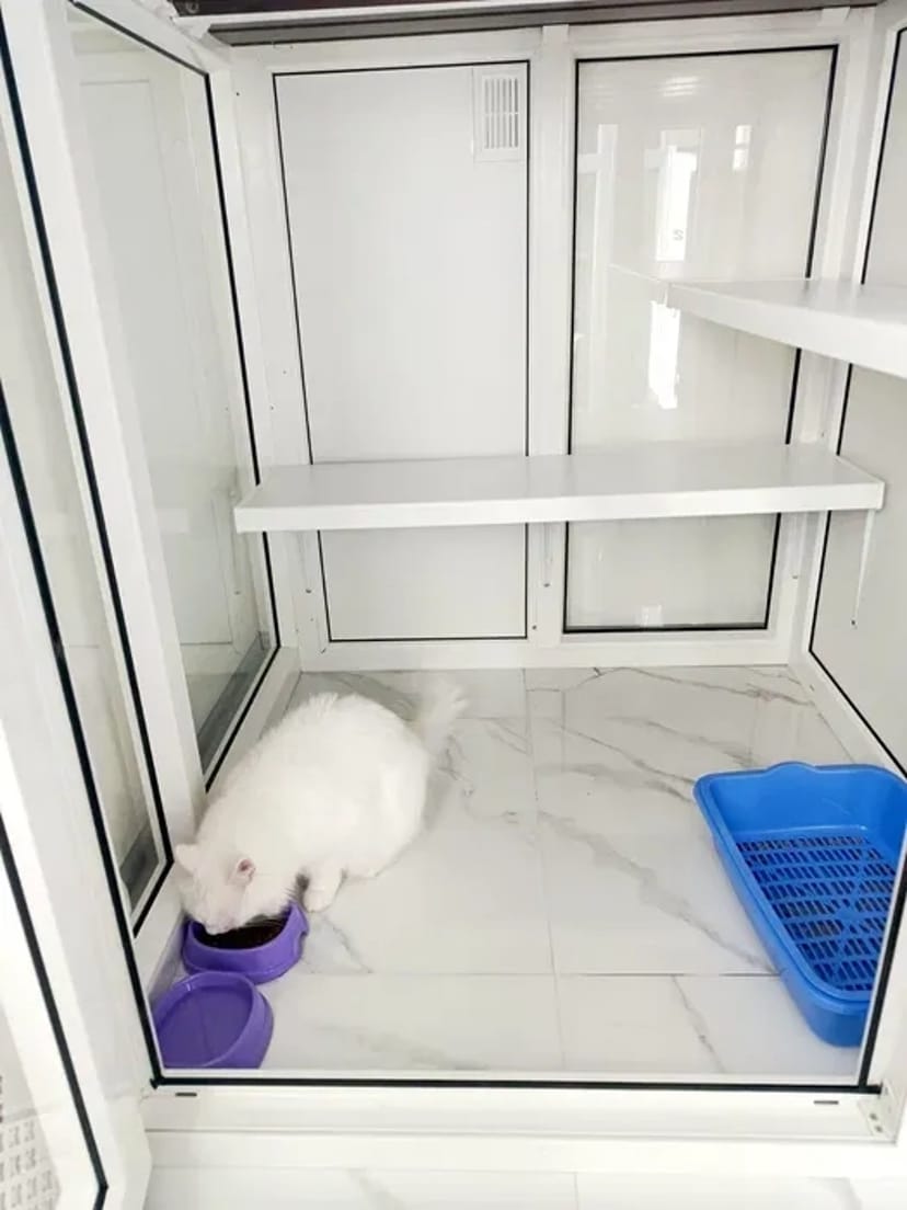 ПЕРЕДЕРЖКА з Відео від 70/грн, ЗОООТЕЛЬ для Котів, Гризунів, Птахів...