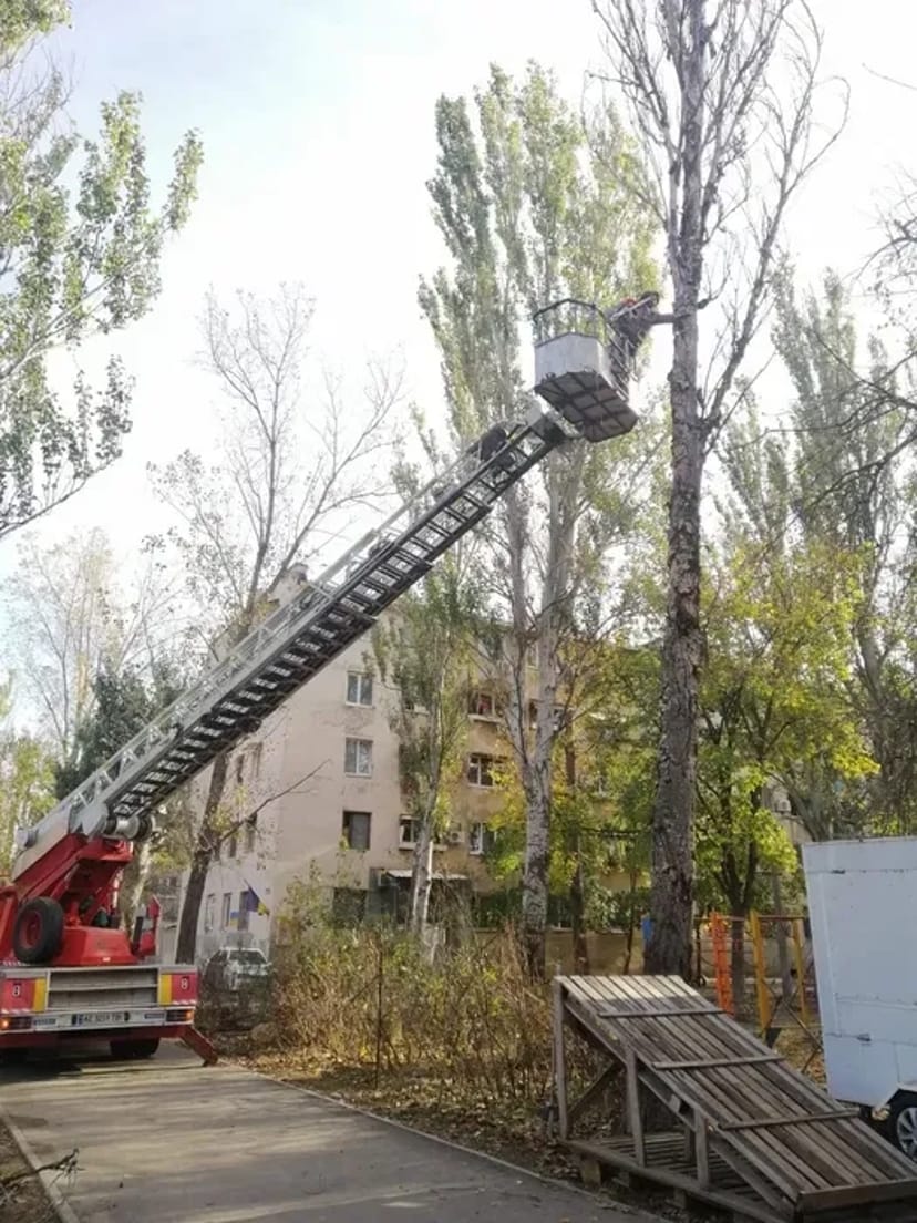 Спил и Обрезка деревьев. Обрезка веток.