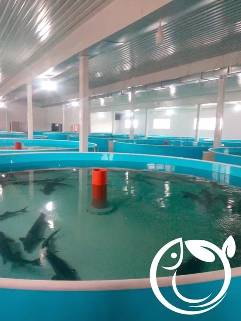 Будівництво і проектування УЗВ та інших типів аквоферм