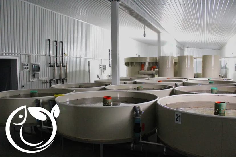 Будівництво і проектування УЗВ та інших типів аквоферм