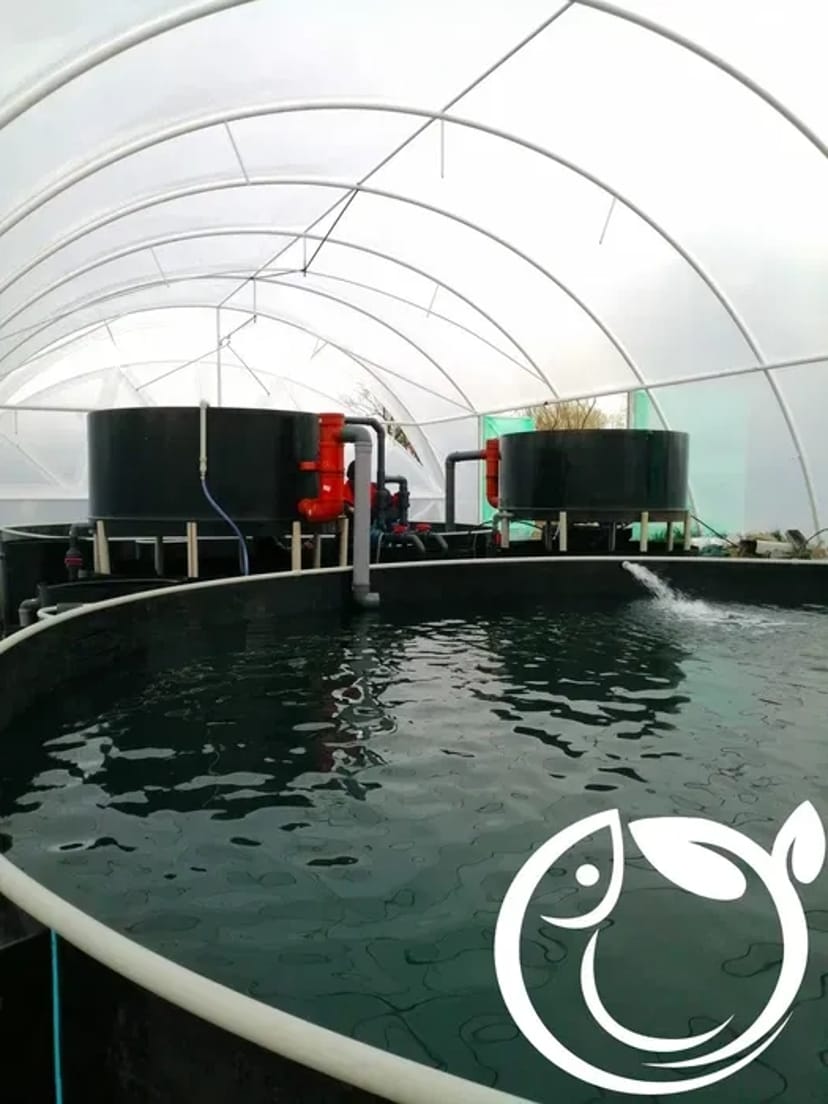 Будівництво і проектування УЗВ та інших типів аквоферм