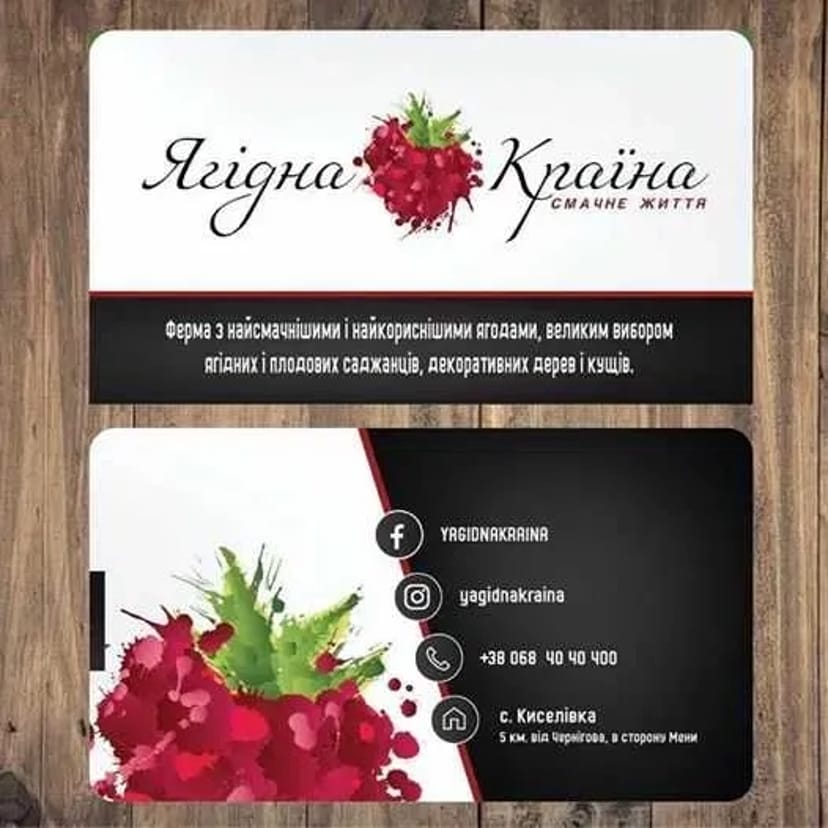 ДРУК ПОЛІГРАФІЇ Чернігів. Візитки, листівки, листівки. ДИЗАЙН ДОСТАВКА