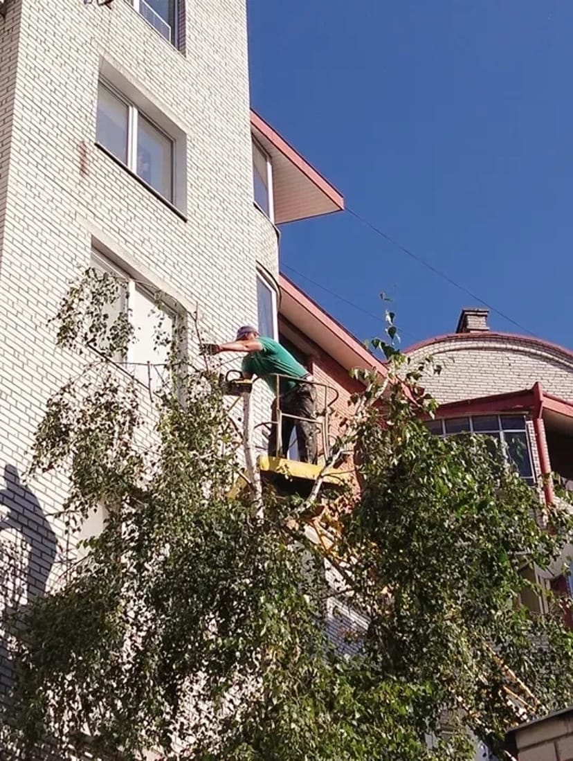 Чистка ділянок! Зрізання дерев! Косіння трави!