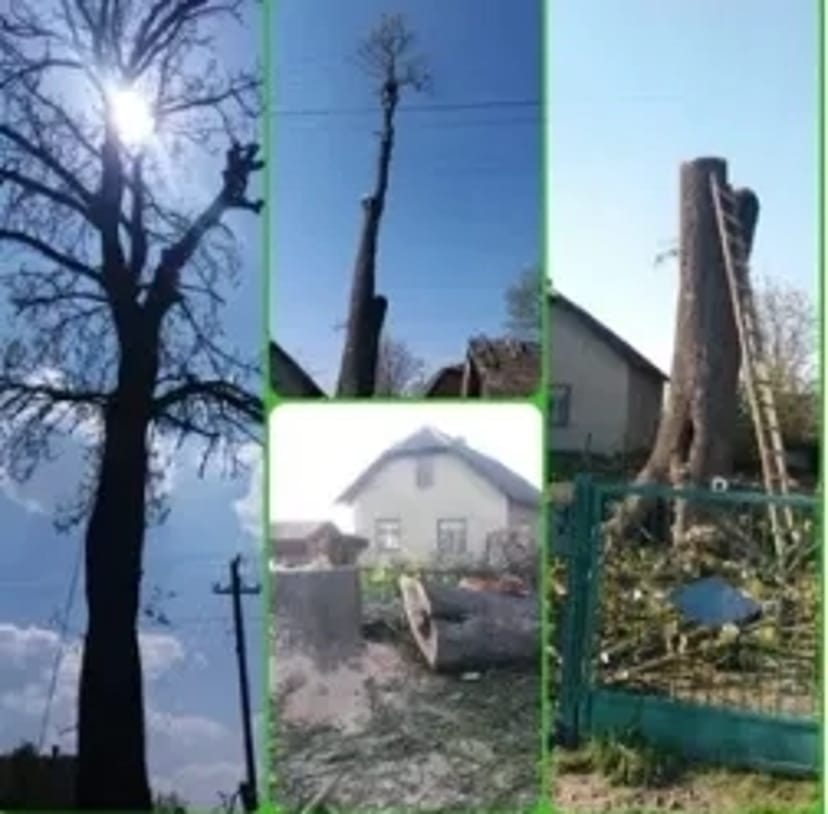 Чистка ділянок! Зрізання дерев! Косіння трави!