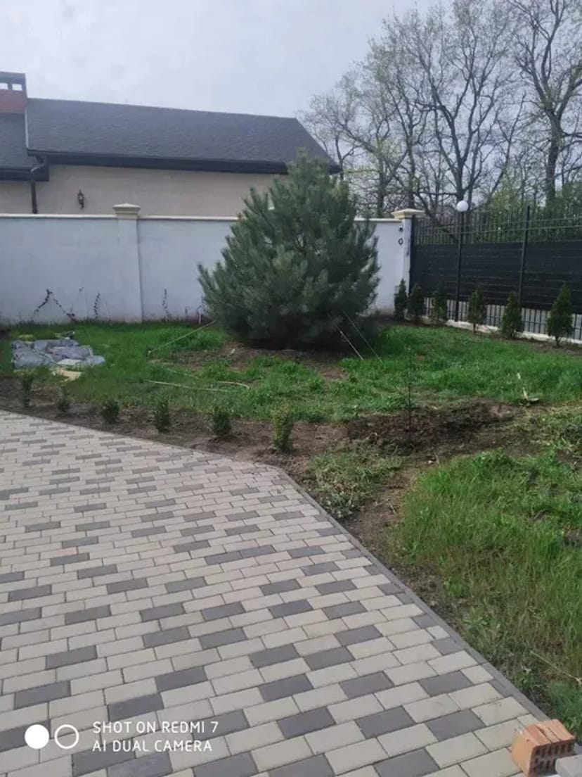 Приберемо ваше подвір'я або ділянку, якість, акуратність