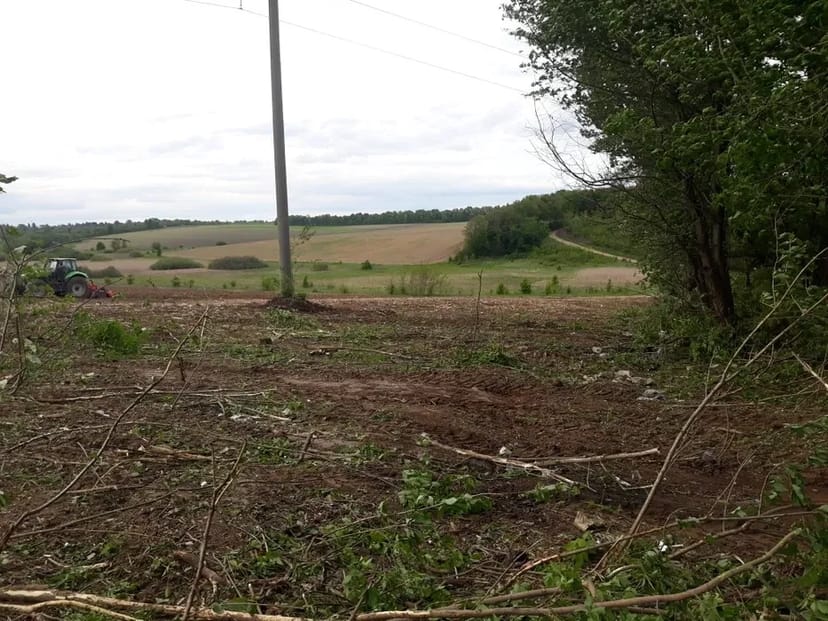 Корчування, Розліснення, Мульчування, Рекультивація