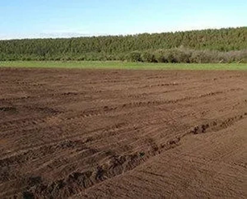 Корчування, Розліснення, Мульчування, Рекультивація