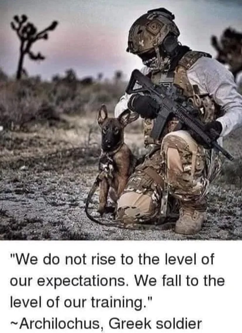 Підготовка бельгійська вівчарка малінуа навчання з кiнологом з нуля