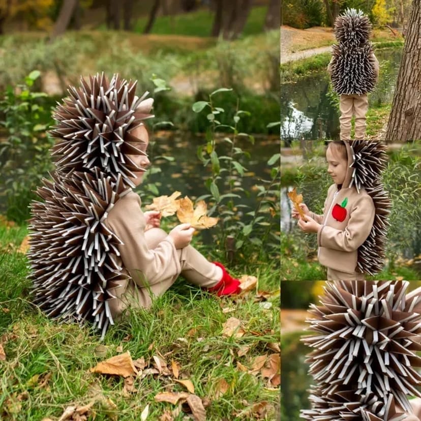 Костюм Їжачка