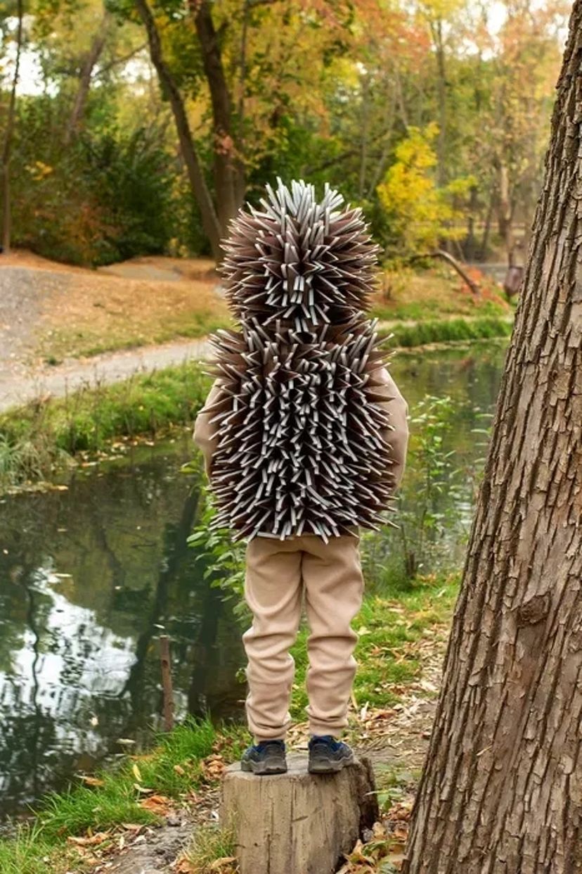 Костюм Їжачка