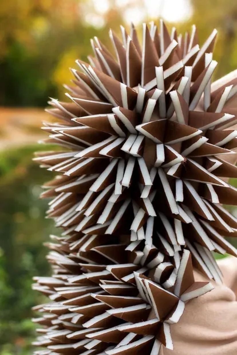 Костюм Їжачка