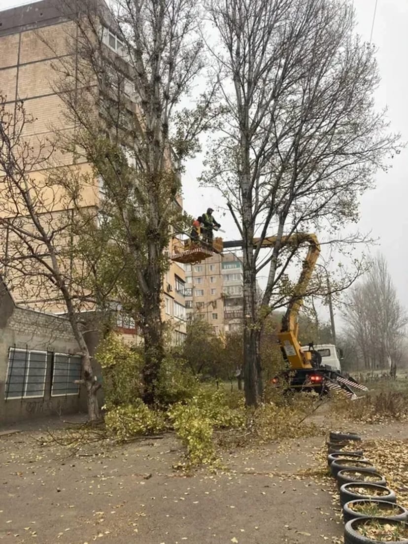 Розчищення ділянки від дерев поросли
