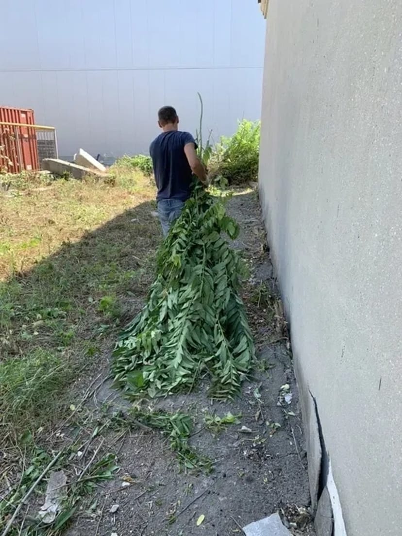 Вивезення сміття, демонтаж, вантажники, прибирання територій