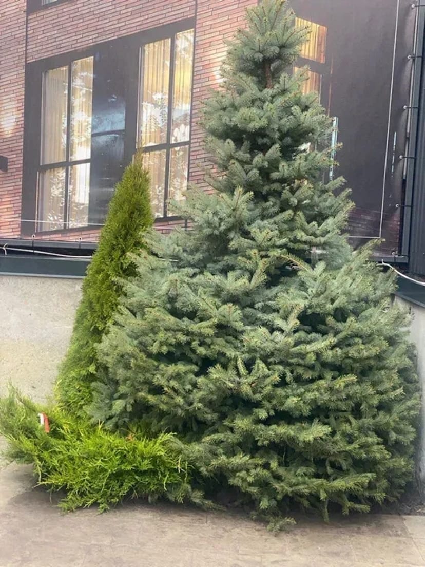 Квартира студії 22.6м² біля метро Нивки, 5хв від метро