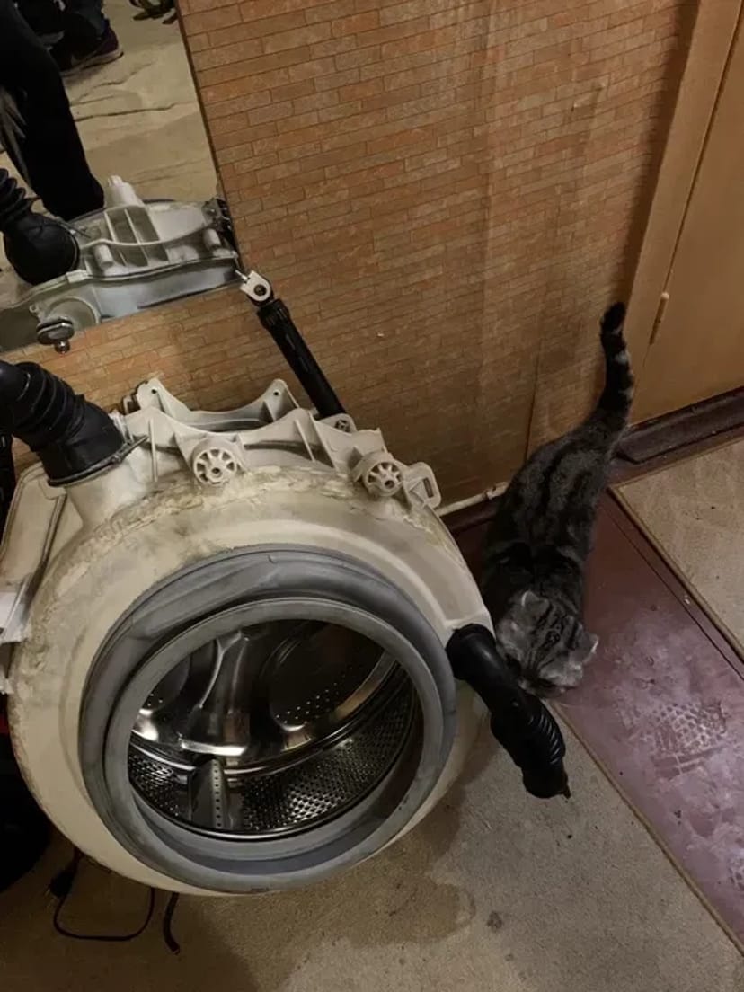 Ремонт пральних машин в Чабанах, новоселках, теремках.