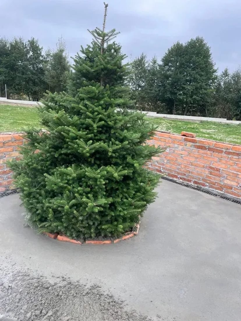 Стяжка підлоги Львів та область