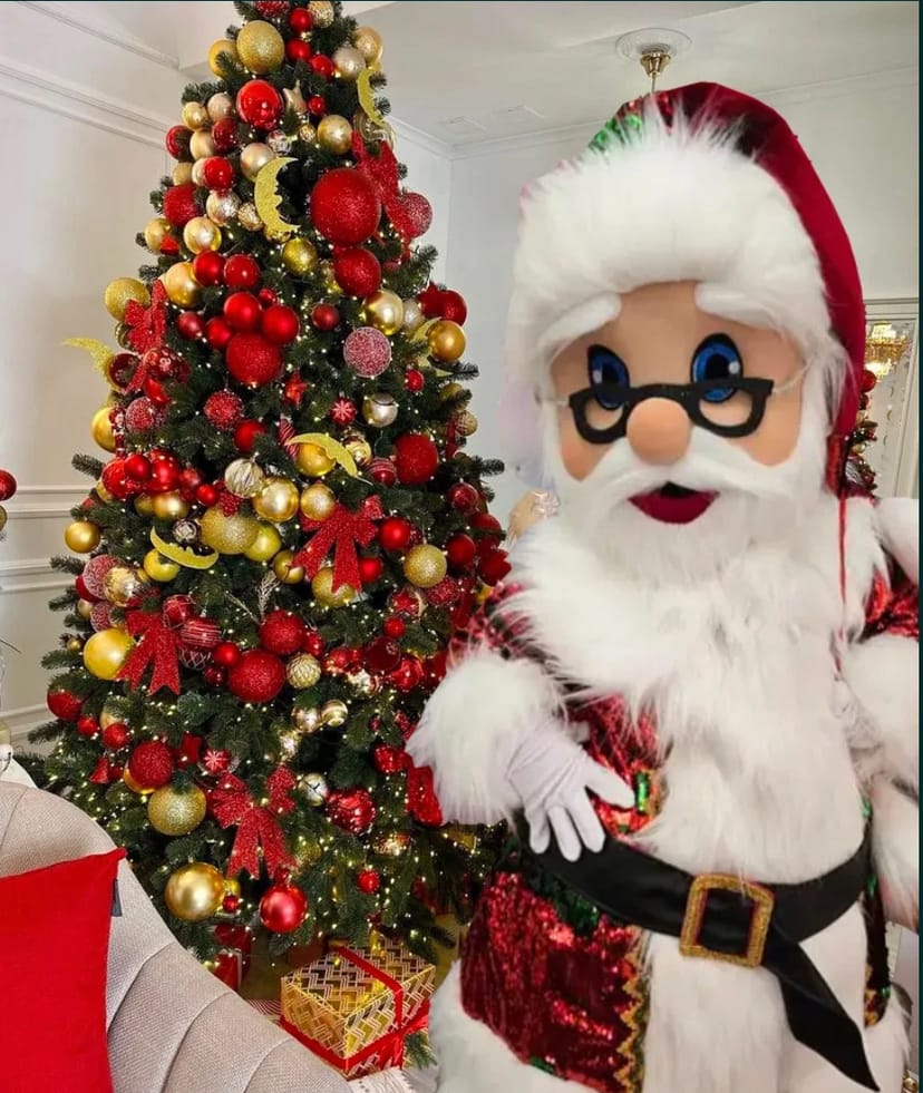 Санта Клаус. Новорічне привітання, Аніматор