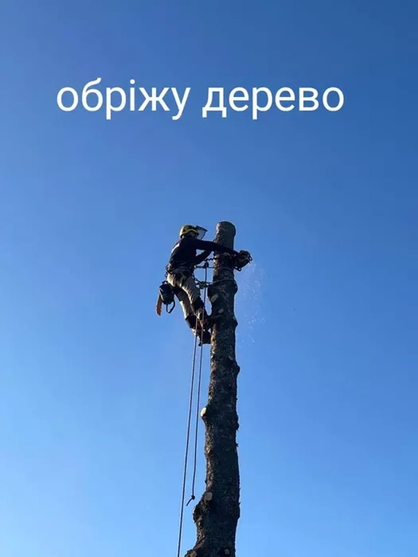 Зрізка дерев, обрізання