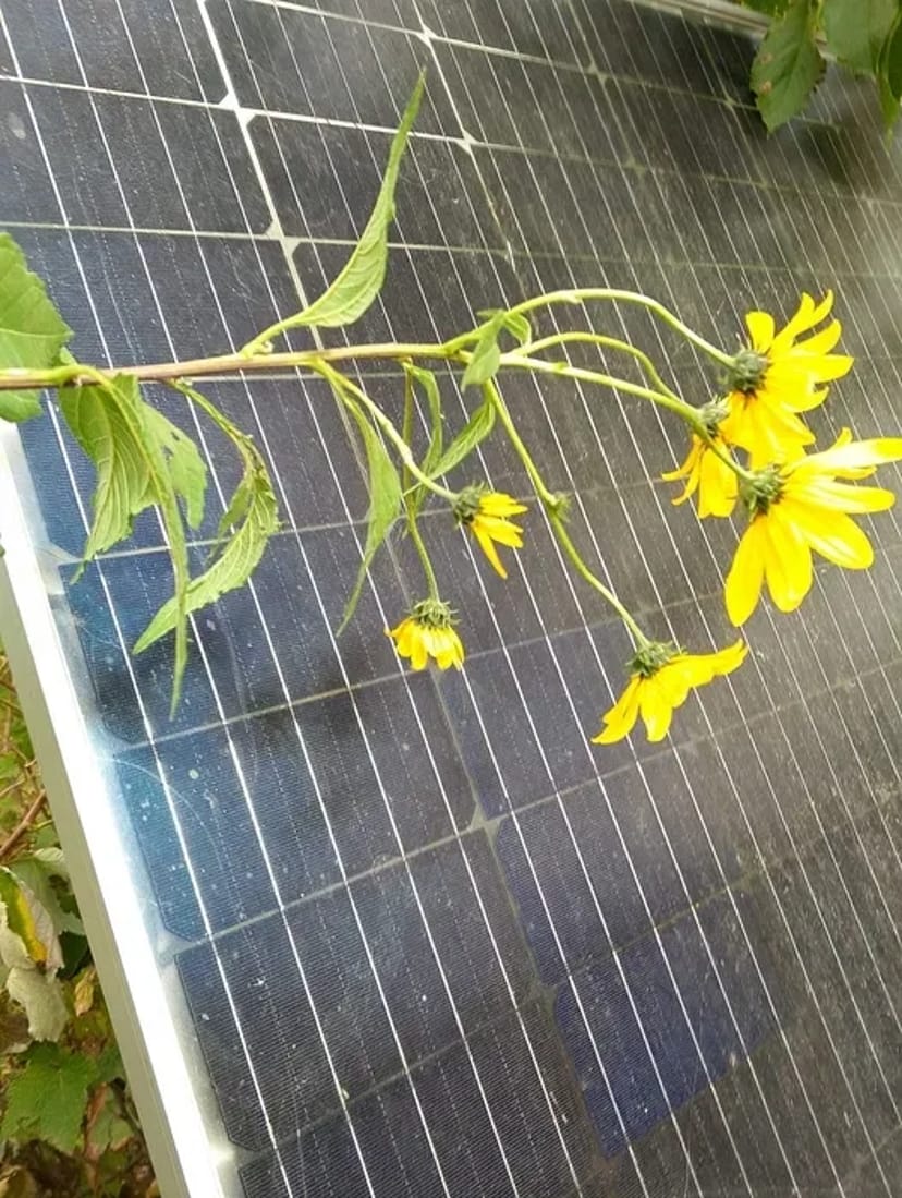 Монтаж сонячних панелей