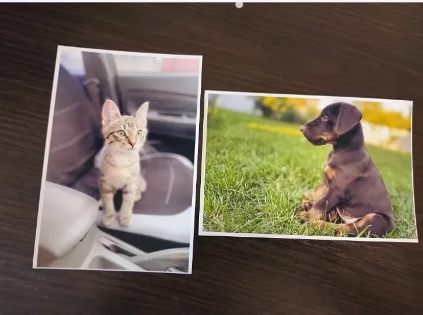 Друк фото та різної поліграфії