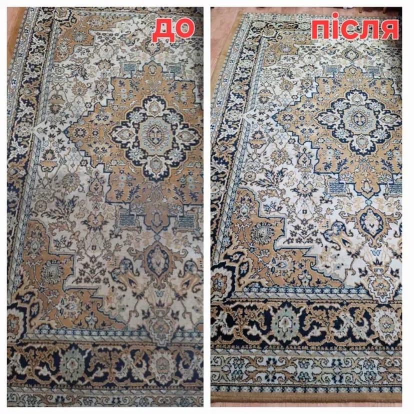 Миючий пилосос Karcher puzzy 10