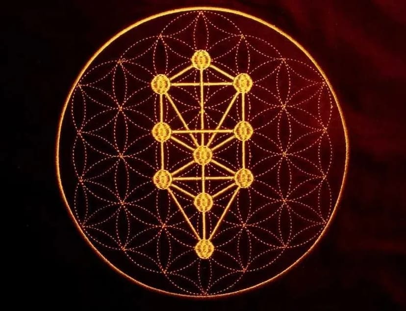 Комп'ютерна (машинна) вишивка: крій, шеврони, аплікації