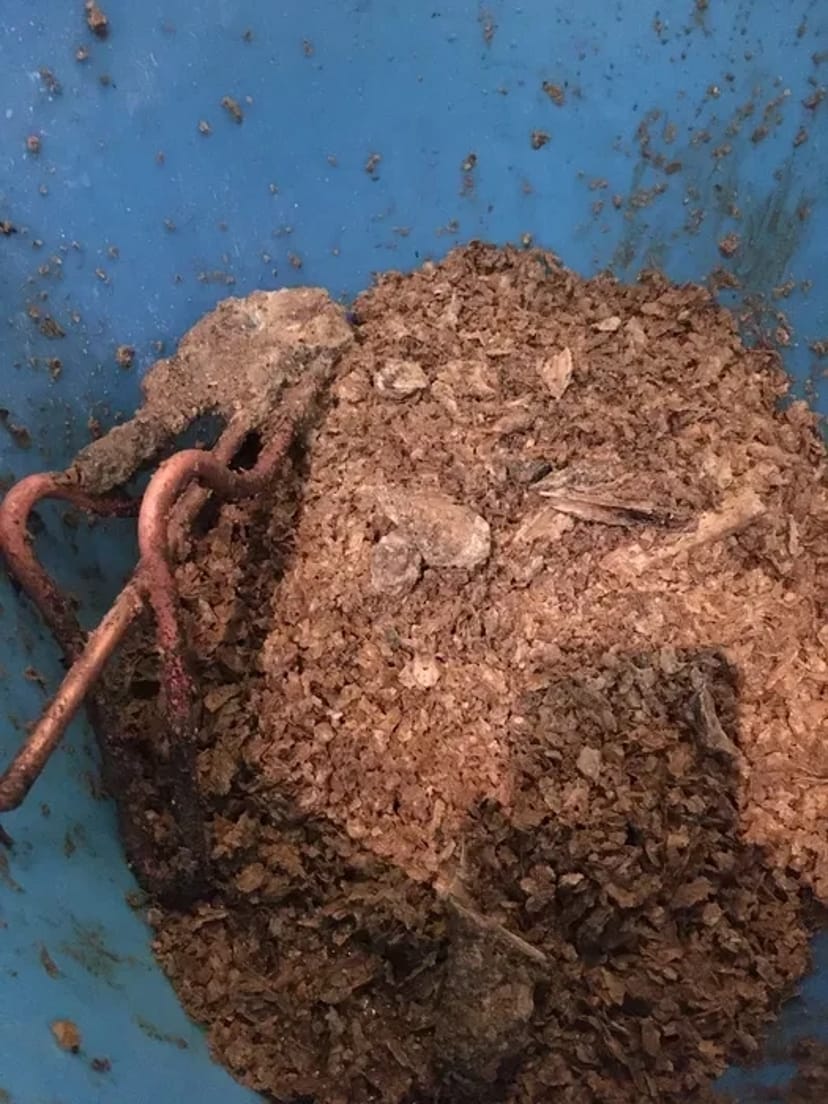 ПРИЇДЕМО СЬОГОДНІ! Ремонт, чищення, установка, продаж бойлерів