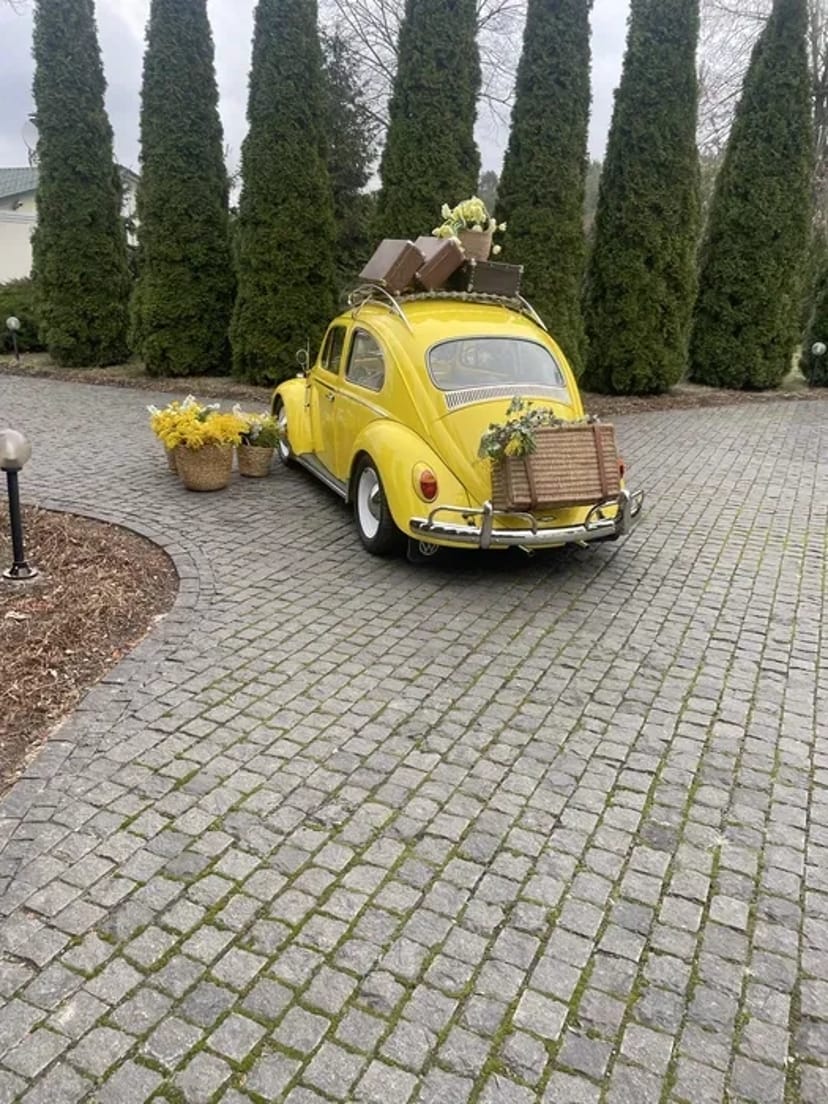 Фольцваген жук кафер бетллі для фотосесій, весіль днів Народжень
