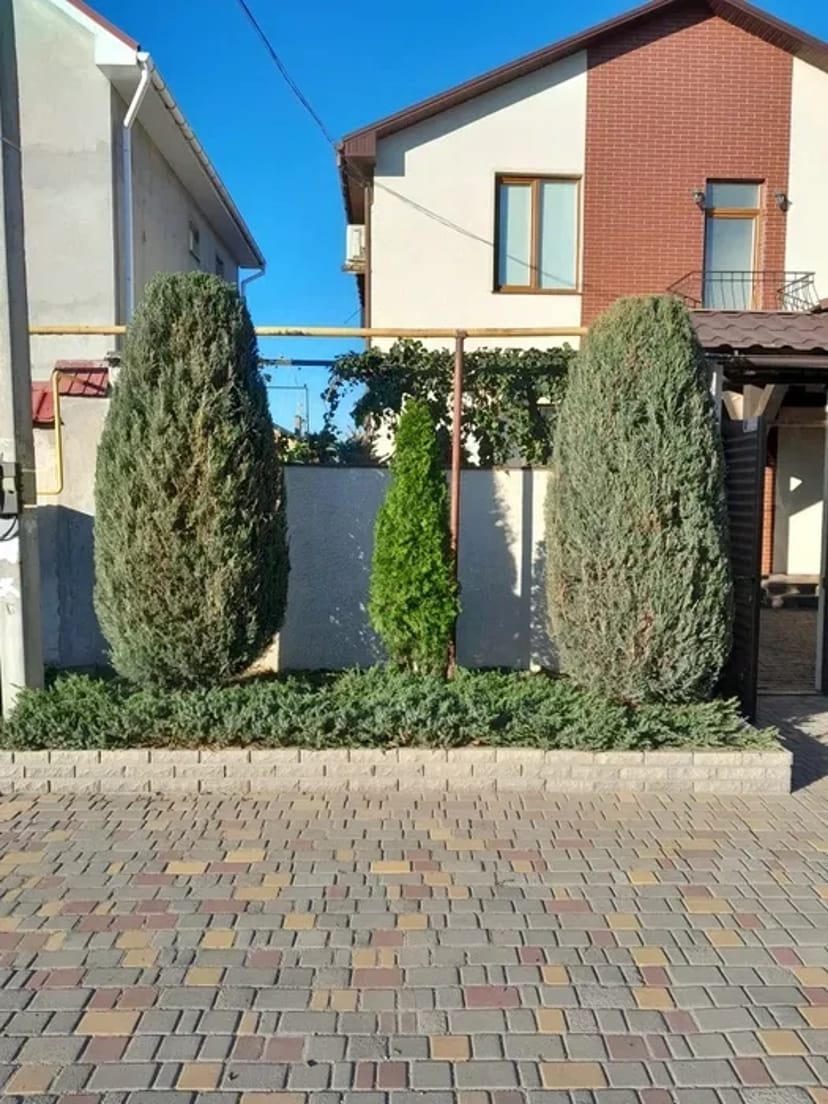 Стрижка хвойних, туй, чагарників, живоплоту. Садівник