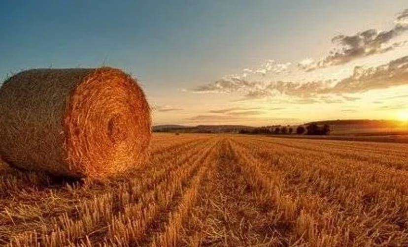 Послуги прес-підбирача, тюкування сіна соломи в тюки