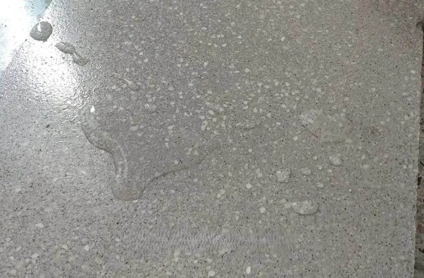 Улаштування підлог MicroTerrazzo — мікротераццо за італійською технологією