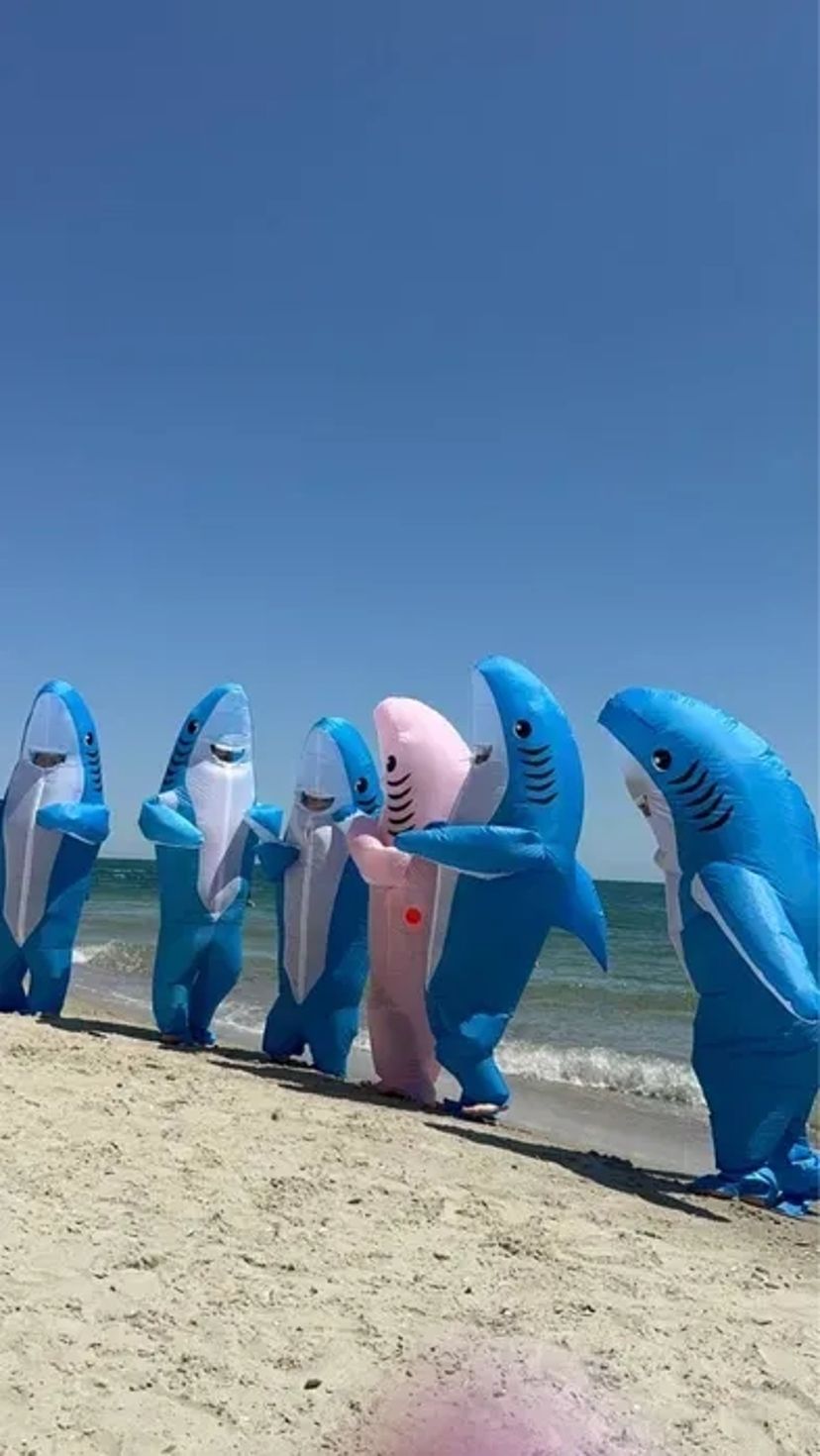 Надувна акула, ростова лялька, вітання з днем народження