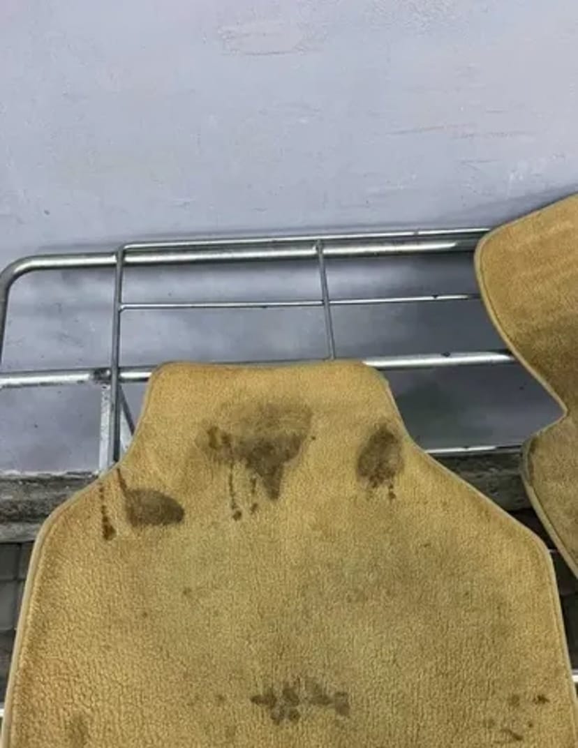 Авто хімчистка автомобіля!!!Беремось за складні випадки