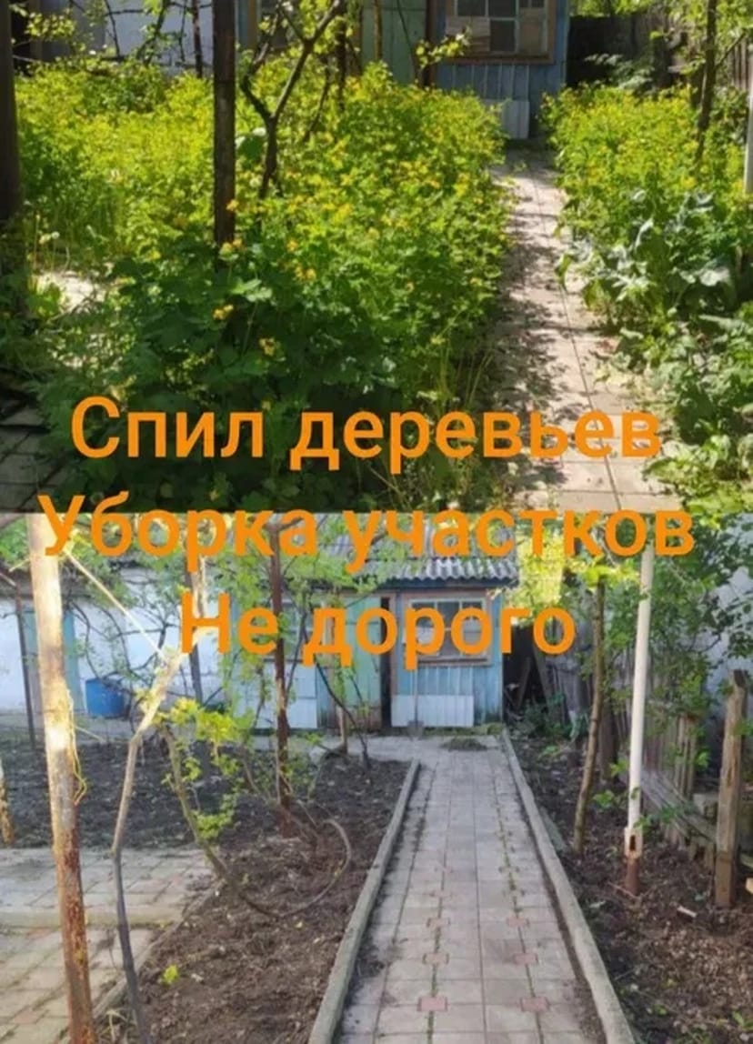 Спил дерев будь-якої складності