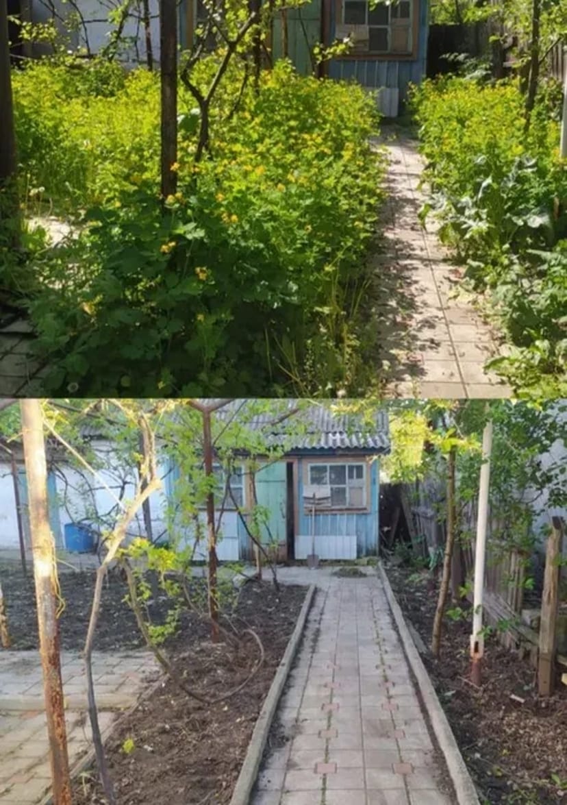 Спил дерев будь-якої складності