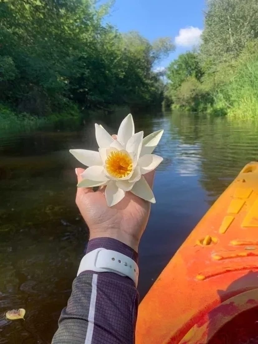 Байдарки/каякі в Царичанці/турінг/сплав по р. Оріль від 600 грн/1 особ