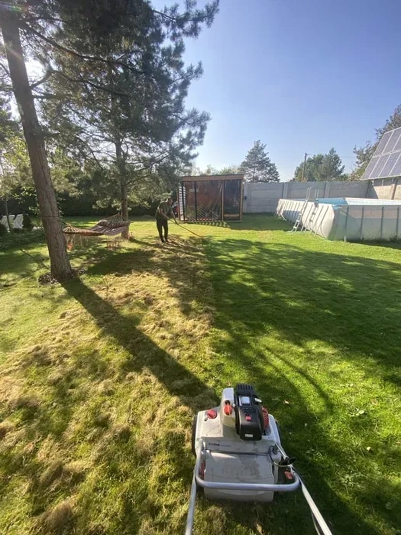 Аерація, Вичісування та відновлення газону – здоровий трав’яний покрив