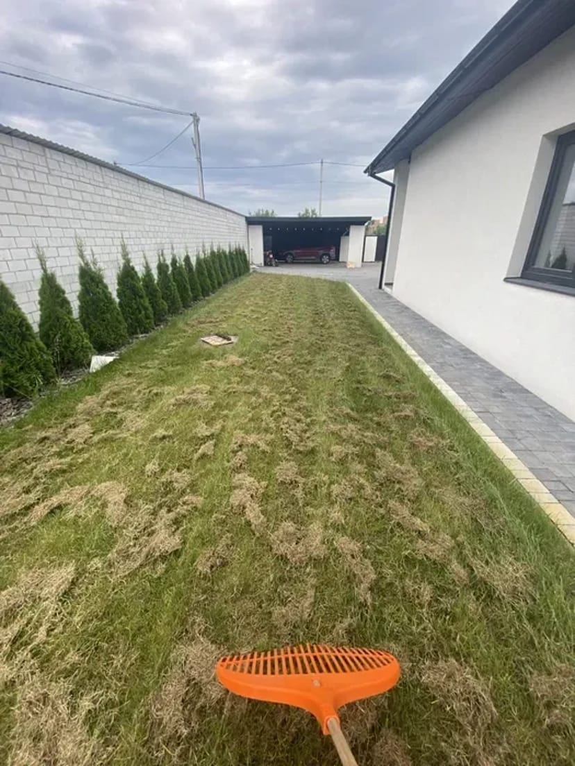 Аерація, Вичісування та відновлення газону – здоровий трав’яний покрив