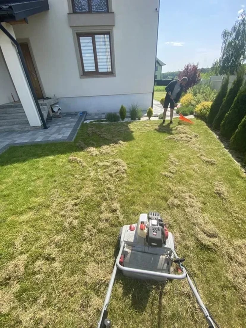 Аерація, Вичісування та відновлення газону – здоровий трав’яний покрив