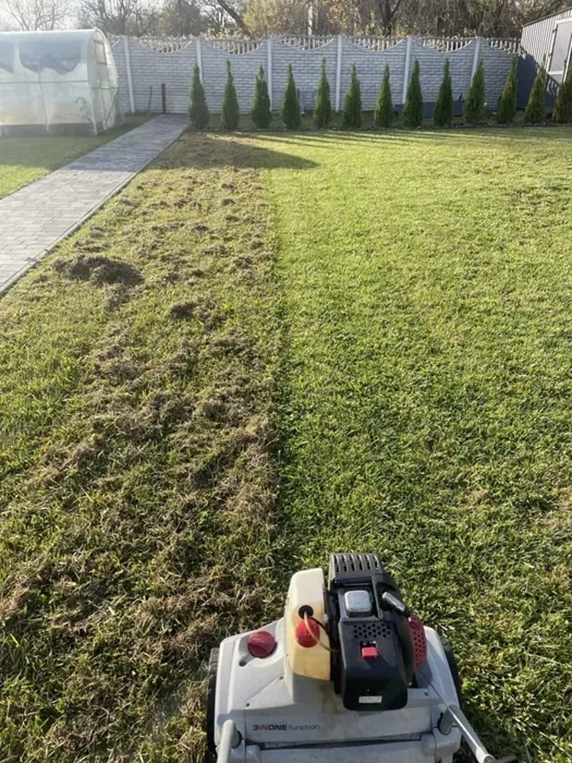 Аерація, Вичісування та відновлення газону – здоровий трав’яний покрив