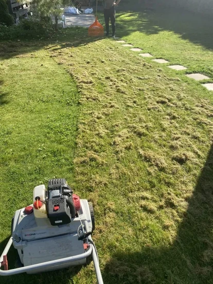 Аерація, Вичісування та відновлення газону – здоровий трав’яний покрив